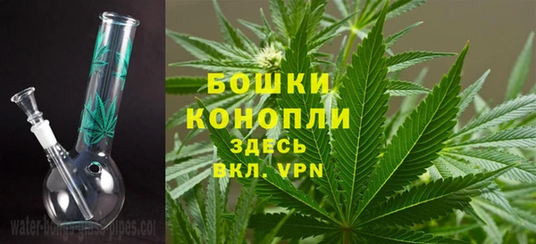 винт Белокуриха