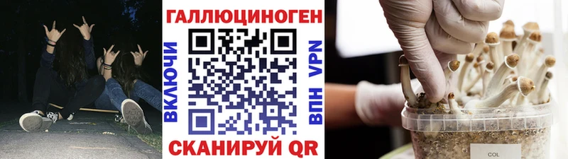 Псилоцибиновые грибы Psilocybine cubensis  Купить закладки  Велиж 