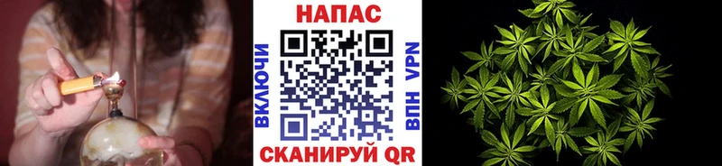 Купить где  Велиж  Канабис сатива 